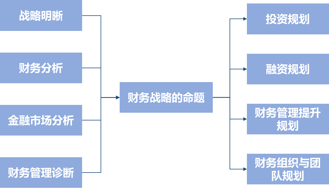 財務戰(zhàn)略